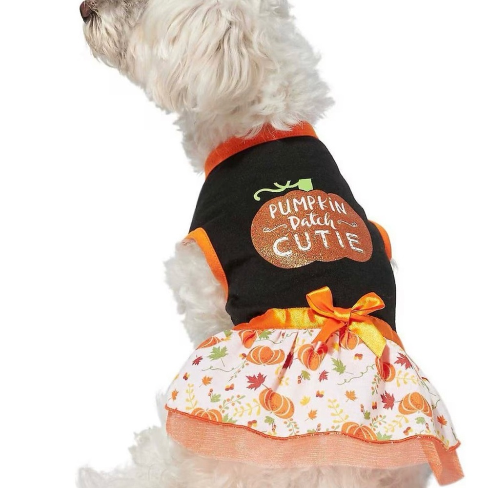 Frisco Pumpkin Patch Cutie Dog Costume - Black and Orange